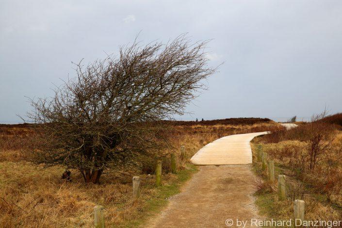 Sylt-2018-01-(340)