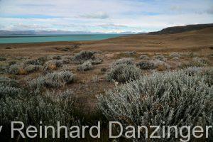 2013-12-01-El-Chalten-(13)