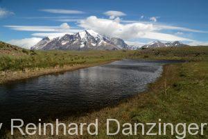 2013-12-04-Wanderungen-im-NP-Paine-(125)