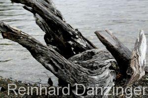 2013-12-09-NP-Tierra-del-Fuego-(14)