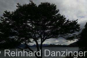 2013-12-09-NP-Tierra-del-Fuego-(64)