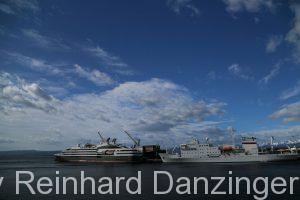 2013-12-10-Ausflug-zur-Pinguin-Kolonie-(9)