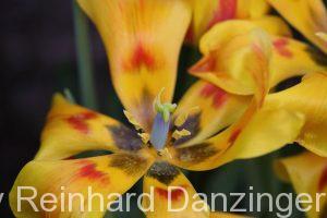 2015-03-26-Palmenhaus-(13)