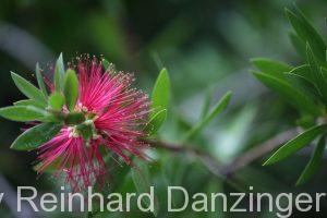 2015-10-21-Palmenhaus-Schönbrunn-(90)