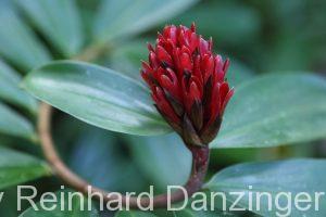 2016-12-19-Seacloud-(56)